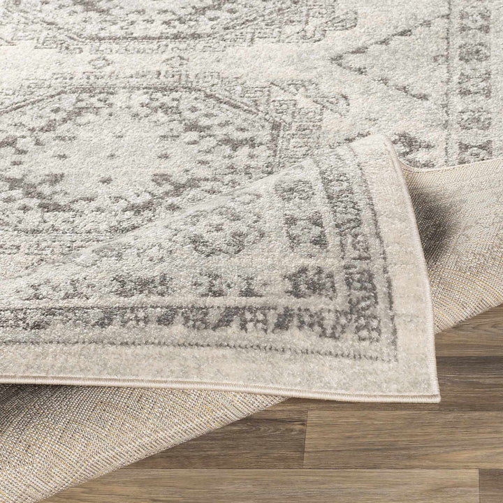 Moundsville Traditional Style Ivory And Gray Area Rug