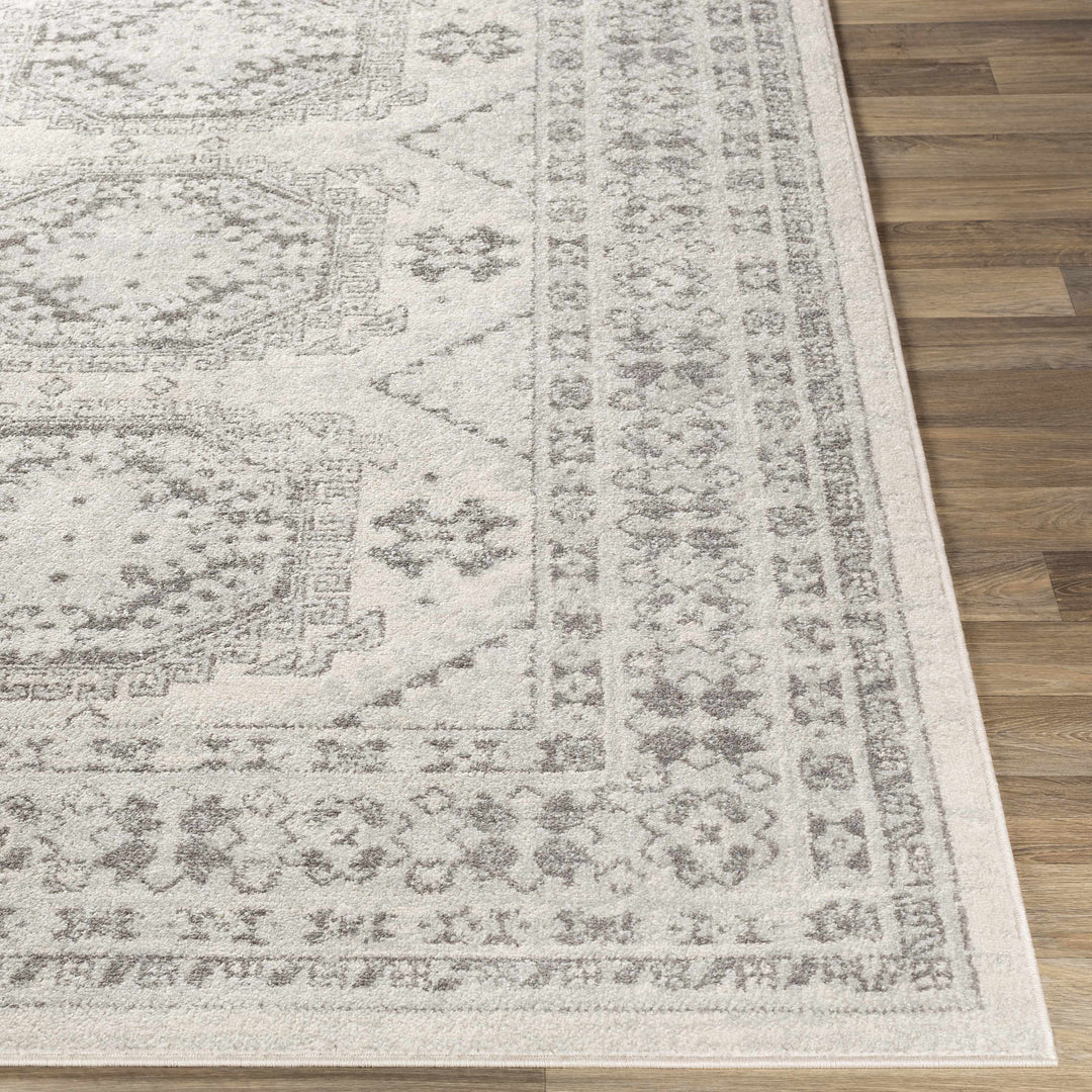 Moundsville Traditional Style Ivory And Gray Area Rug