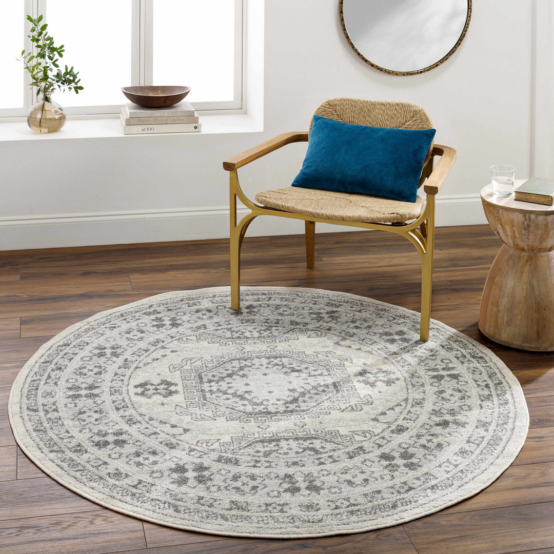 Moundsville Traditional Style Ivory And Gray Area Rug