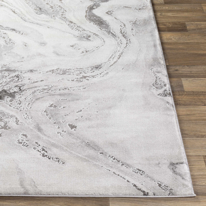 Moana Modern Abstract Design Gray Area Rug