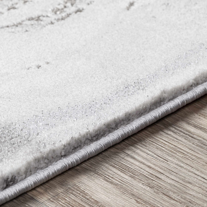 Moana Modern Abstract Design Gray Area Rug