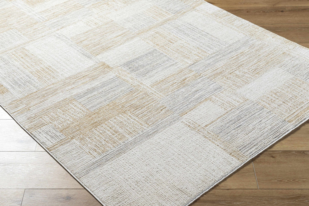 Modern Abstract Style Contemporary Silver and Beige Rug - The Rug Decor