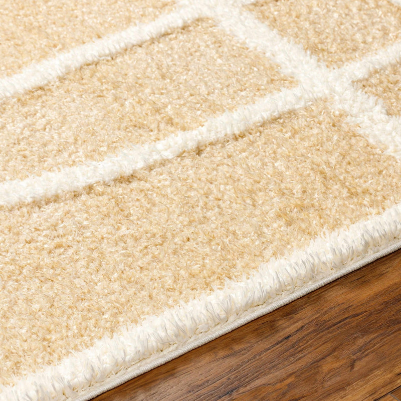 Modern Contemporary Beige and Ivory free line design Plush Pile area Rug - The Rug Decor