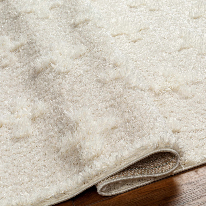 Modern Contemporary Beige Geometric pattern Machine Woven Area Rug - The Rug Decor