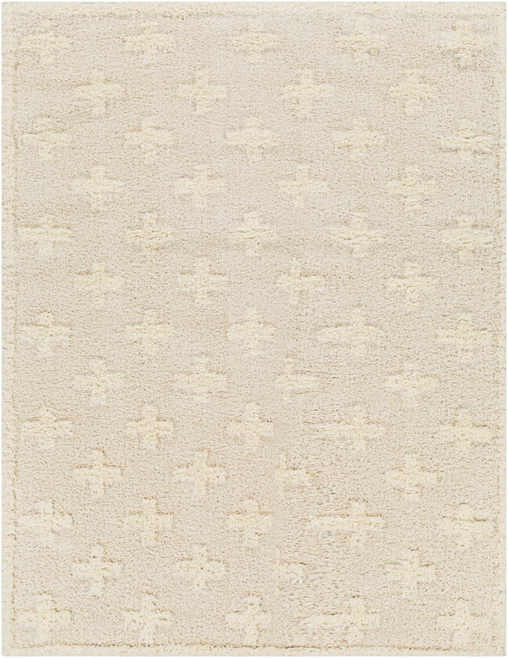 Modern Contemporary Beige Geometric pattern Machine Woven Area Rug - The Rug Decor