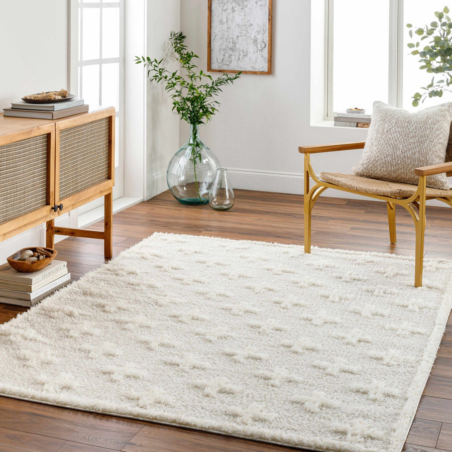 Modern Contemporary Beige Geometric pattern Machine Woven Area Rug - The Rug Decor