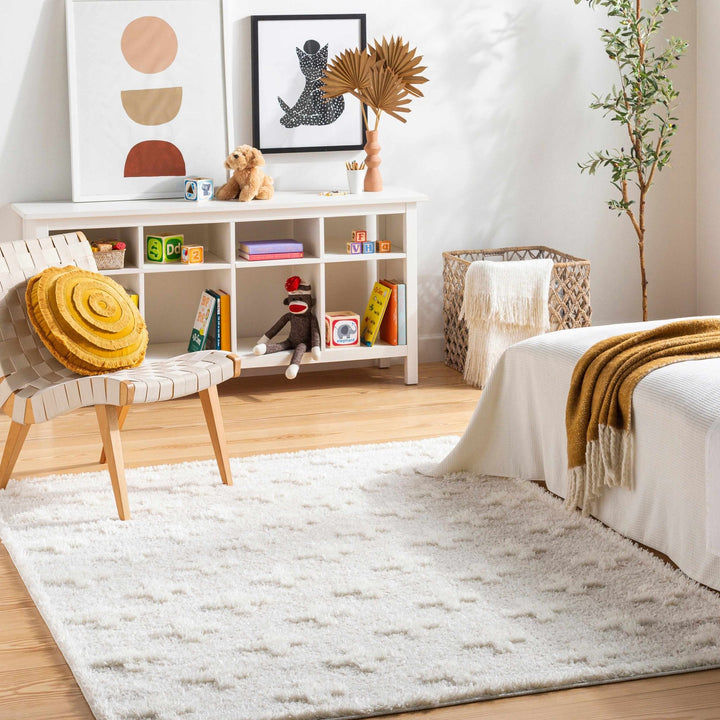 Modern Contemporary Beige Geometric pattern Machine Woven Area Rug - The Rug Decor