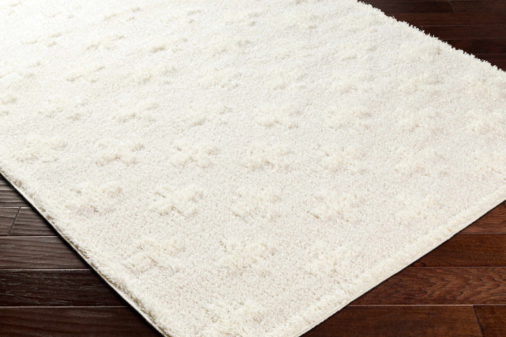 Modern Contemporary Beige Geometric pattern Machine Woven Area Rug - The Rug Decor