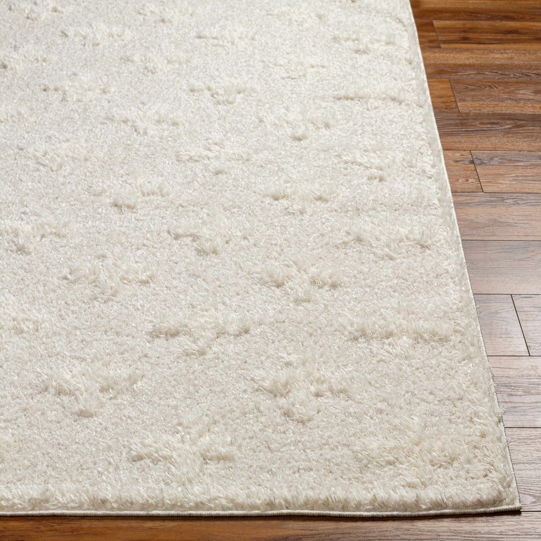 Modern Contemporary Beige Geometric pattern Machine Woven Area Rug - The Rug Decor