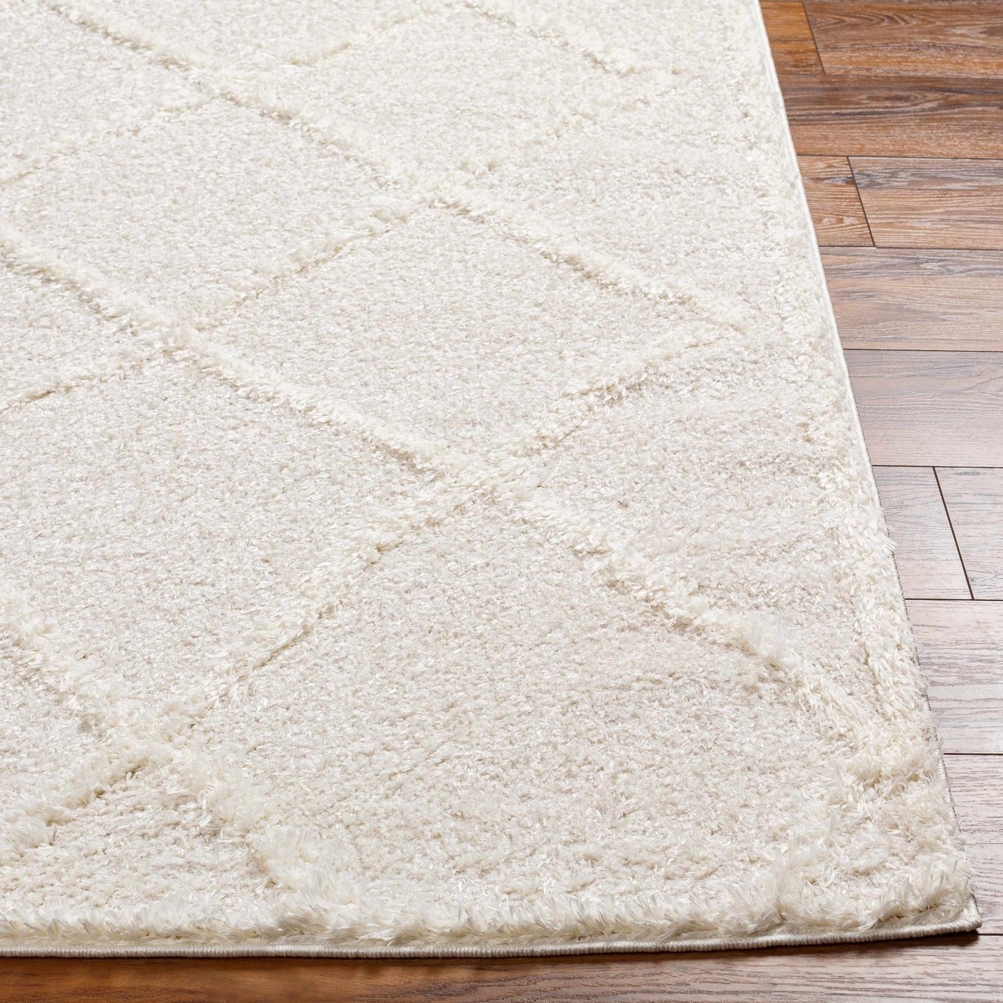 Modern Contemporary Beige Machine Woven Plush Pile Area Rug - The Rug Decor