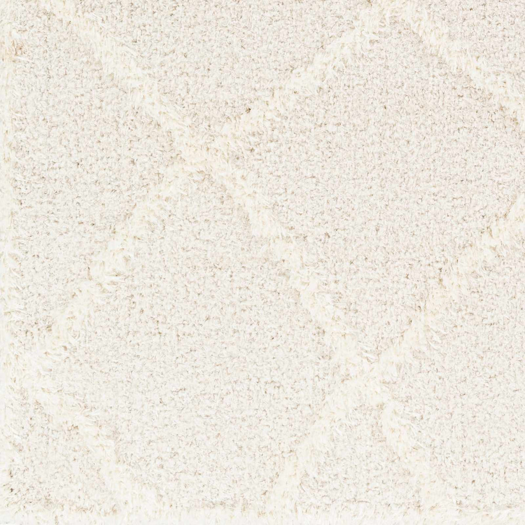 Modern Contemporary Beige Machine Woven Plush Pile Area Rug - The Rug Decor
