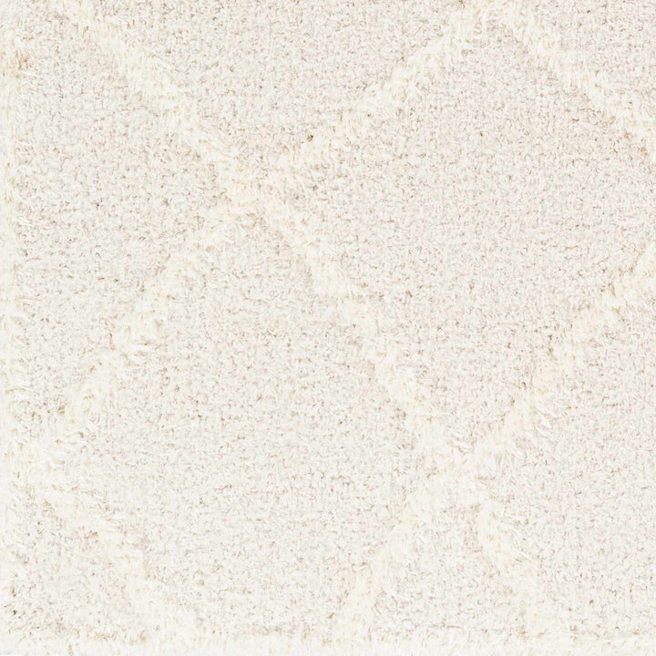 Modern Contemporary Beige Machine Woven Plush Pile Area Rug - The Rug Decor