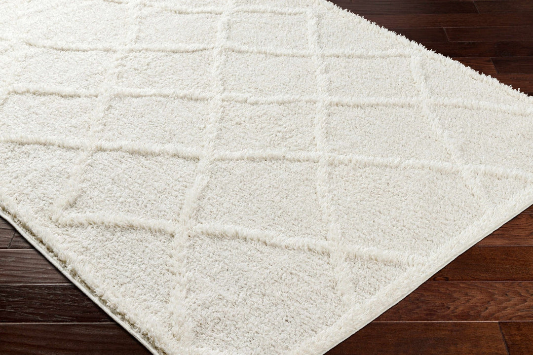 Modern Contemporary Beige Machine Woven Plush Pile Area Rug - The Rug Decor