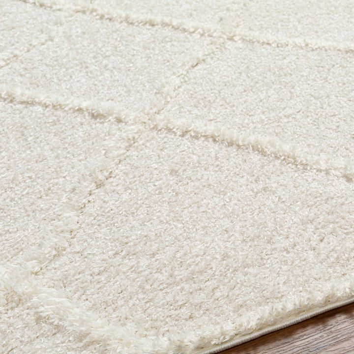 Modern Contemporary Beige Machine Woven Plush Pile Area Rug - The Rug Decor