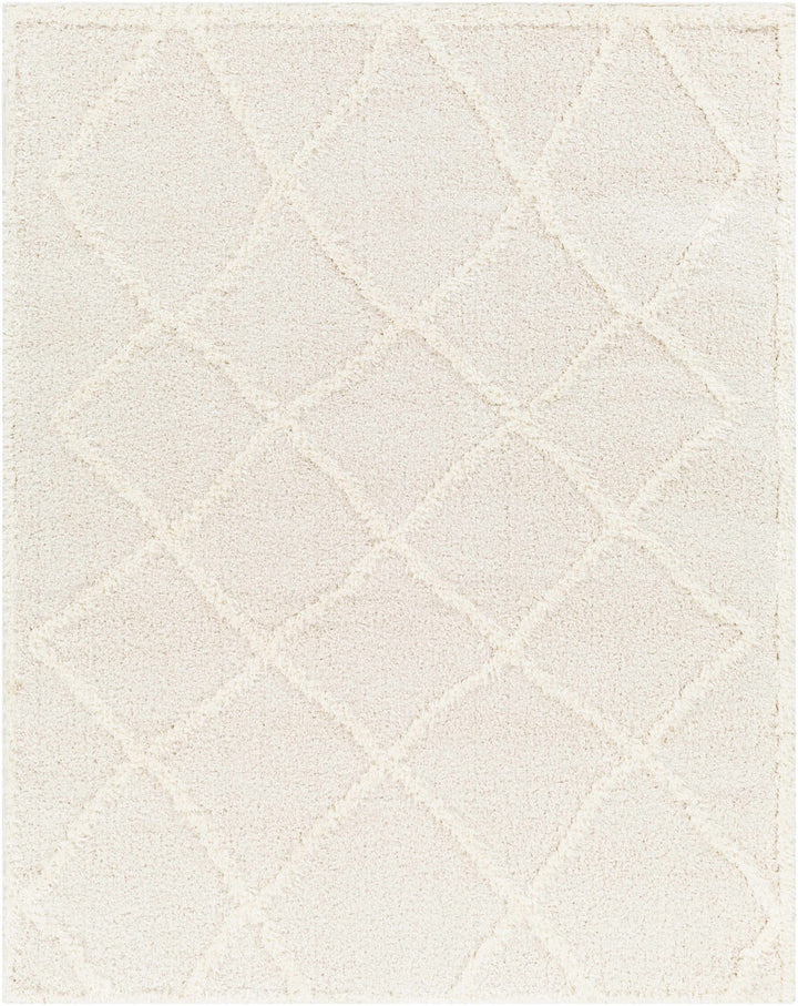 Modern Contemporary Beige Machine Woven Plush Pile Area Rug - The Rug Decor