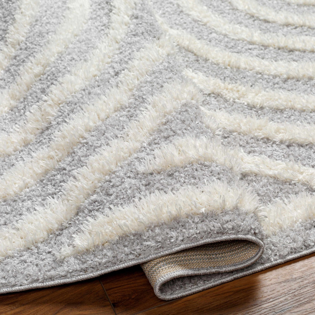 Modern Contemporary Gray and Beige Plush Pile Machine Woven Area Rug - The Rug Decor