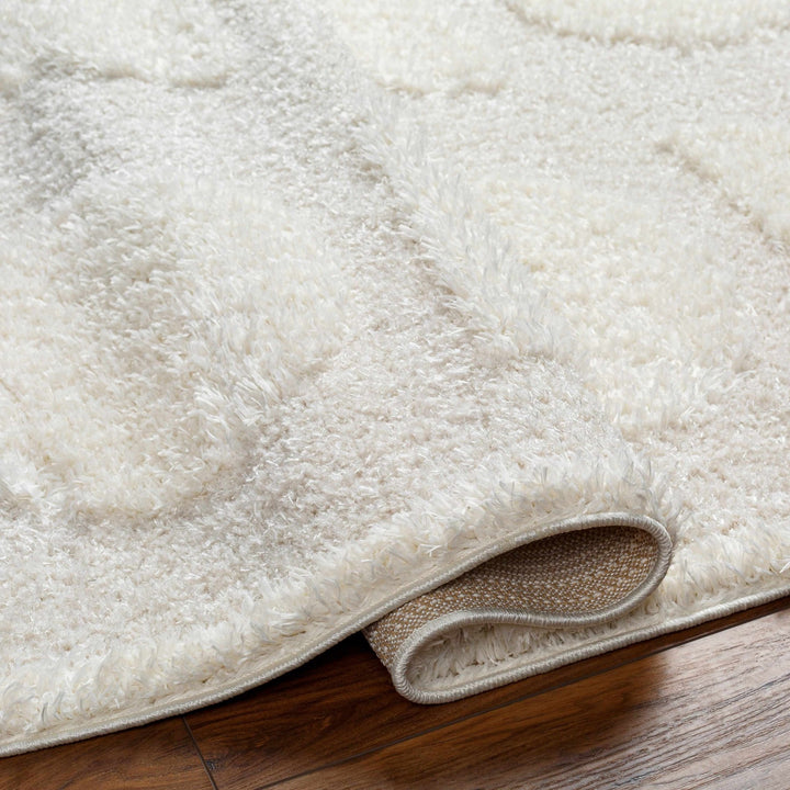 Modern Contemporary Ivory Machine Woven Area Rug - The Rug Decor