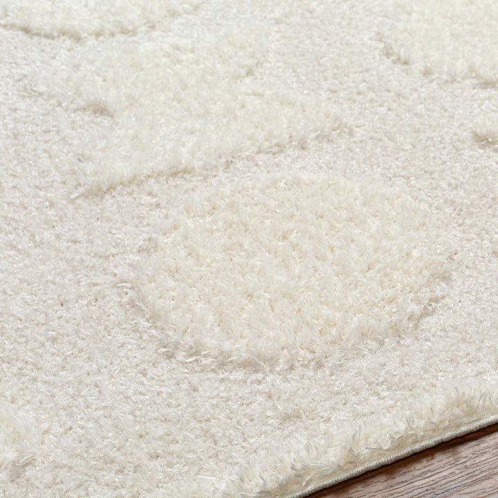 Modern Contemporary Ivory Machine Woven Area Rug - The Rug Decor