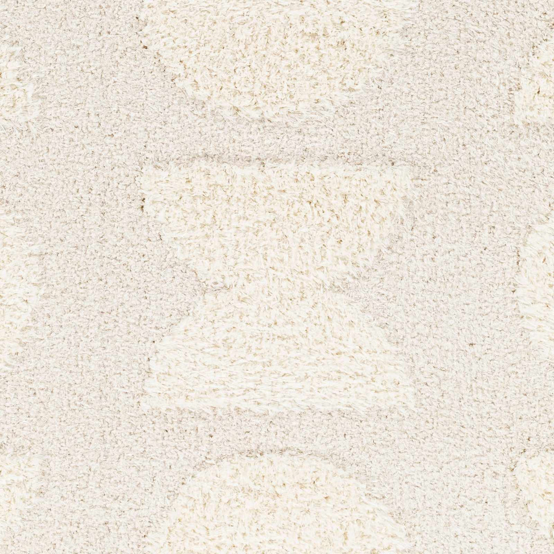 Modern Contemporary Ivory Machine Woven Area Rug - The Rug Decor