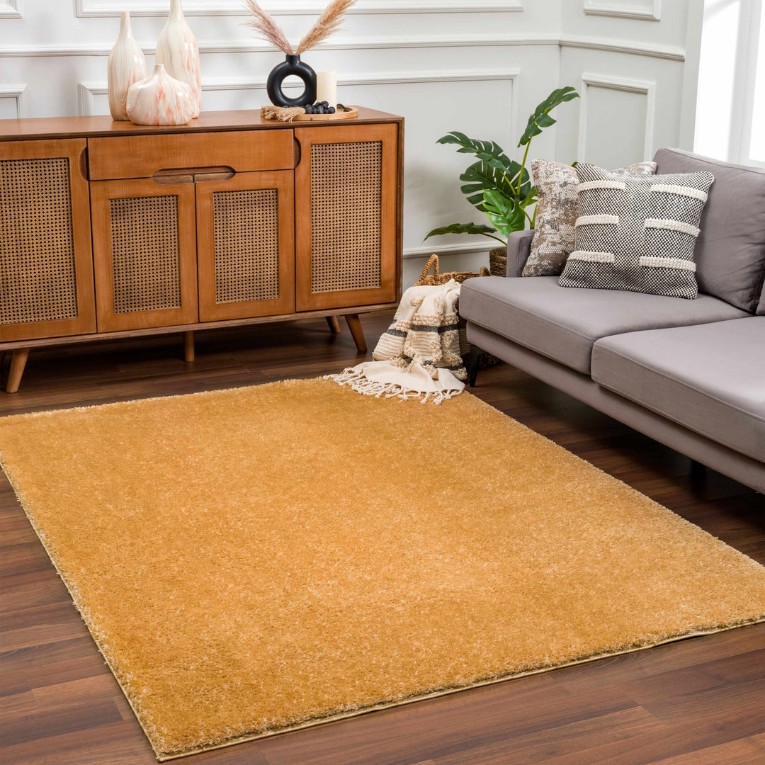 Modern Contemporary Solid Plush Gold Area rug - The Rug Decor
