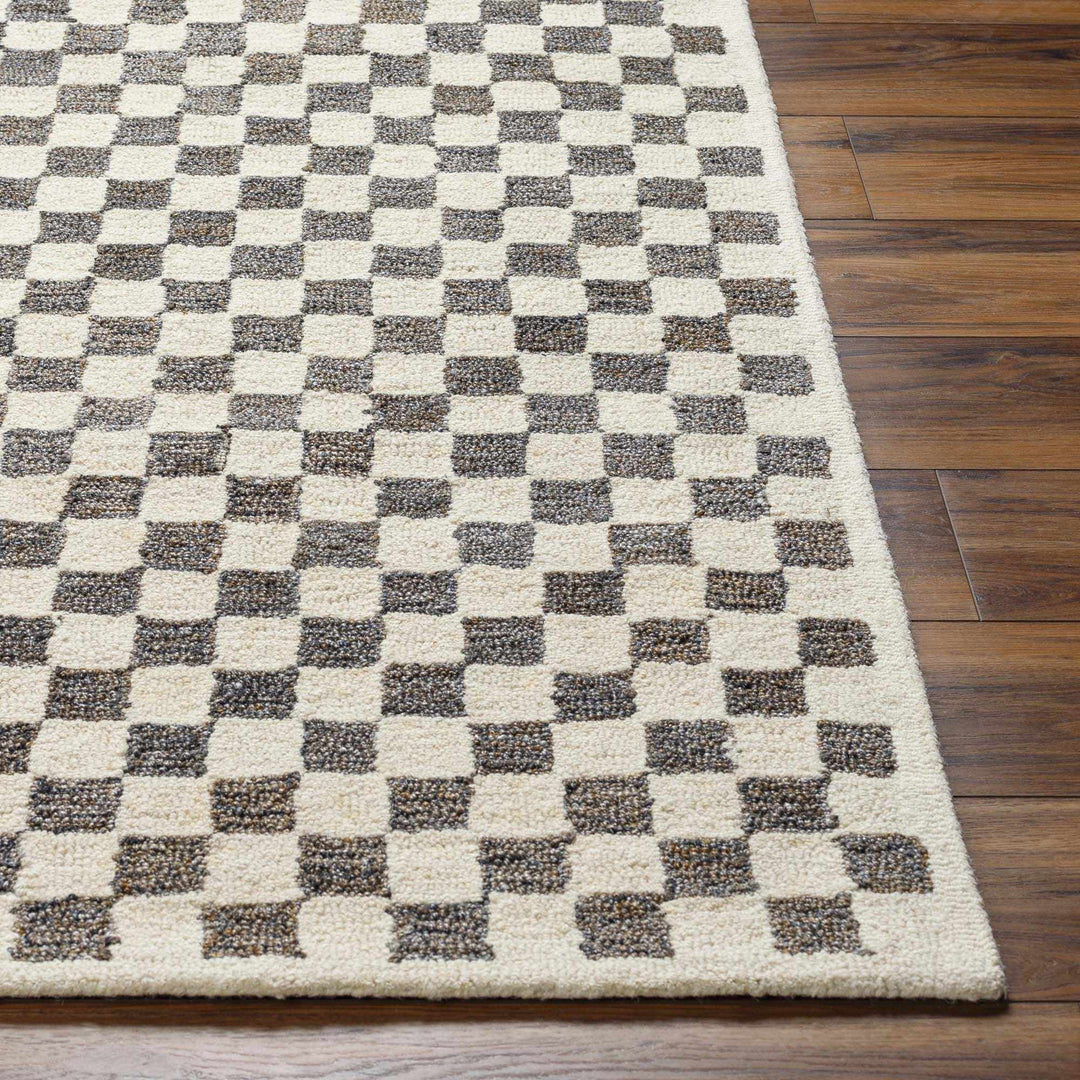 Modern Geometrical Beige and Brown Checkered Hand Tufted wool and Pet yarn Rug - The Rug Decor