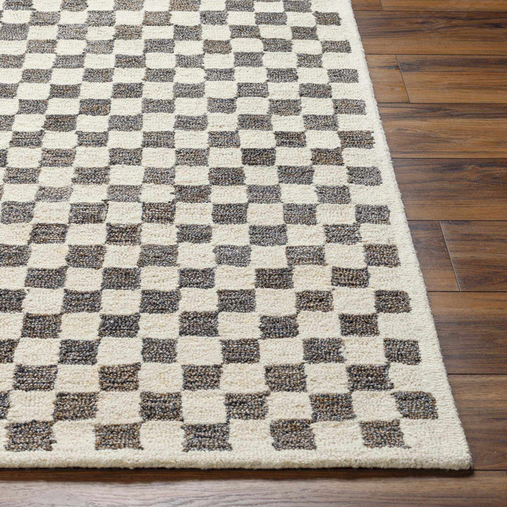 Modern Geometrical Beige and Brown Checkered Hand Tufted wool and Pet yarn Rug - The Rug Decor