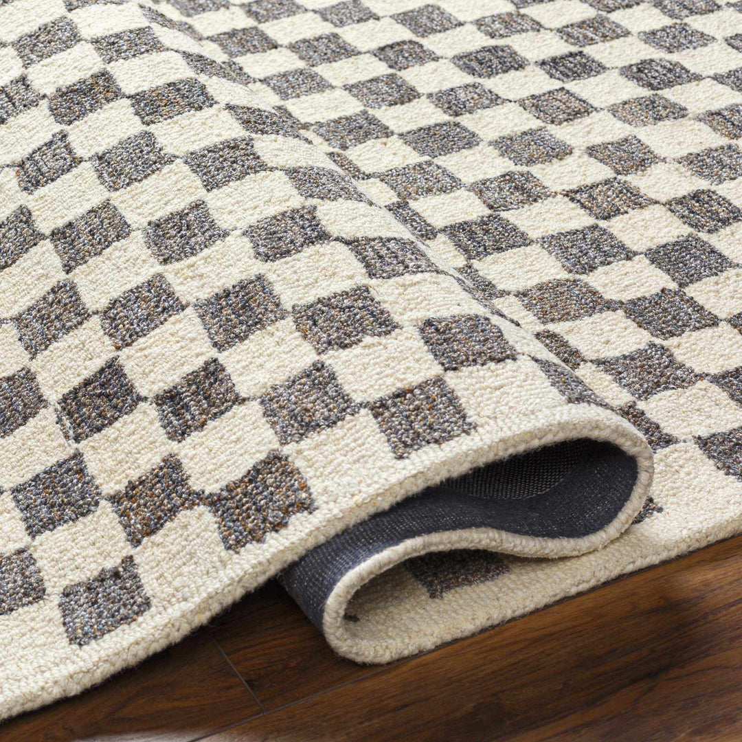 Modern Geometrical Beige and Brown Checkered Hand Tufted wool and Pet yarn Rug - The Rug Decor