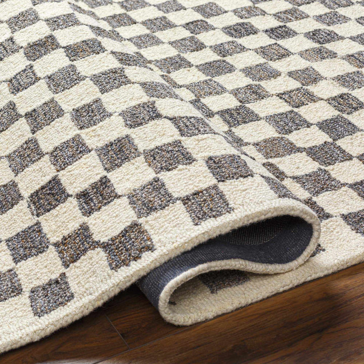 Modern Geometrical Beige and Brown Checkered Hand Tufted wool and Pet yarn Rug - The Rug Decor