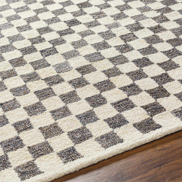 Modern Geometrical Beige and Brown Checkered Hand Tufted wool and Pet yarn Rug - The Rug Decor