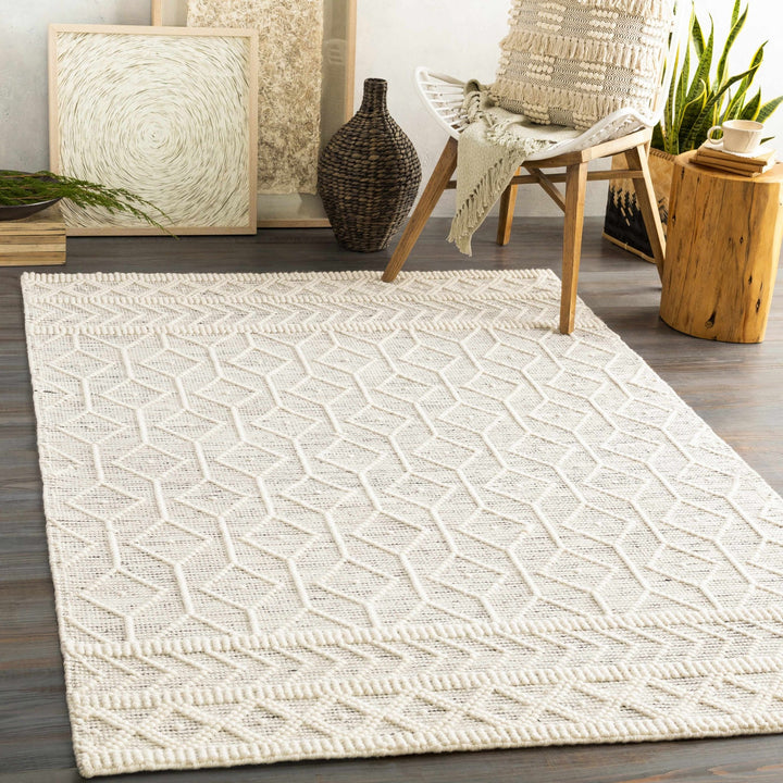 Modern Geometrical Beige Hand woven Tasseled Texture Wool Area Rug - The Rug Decor