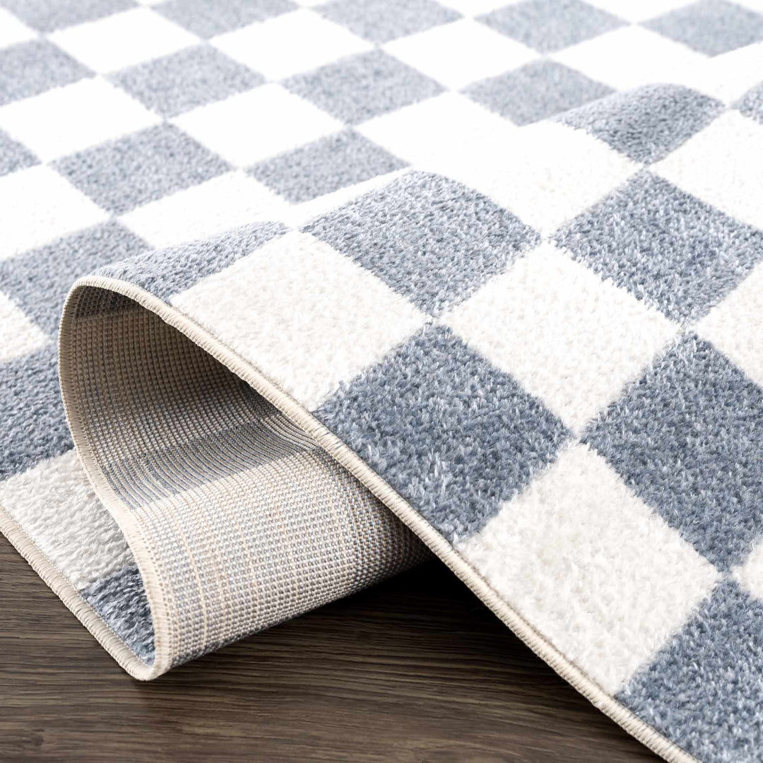 Modern Geometrical Checkered Blue and Ivory Check Board Washable Area Rug - The Rug Decor