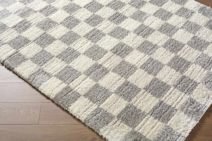 Modern Geometrical Design Cream And Gray Machine Woven Area Rug - The Rug Decor