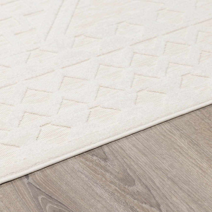 Modern Plumtree Off - White Machine Woven Outdoor Rug - The Rug Decor