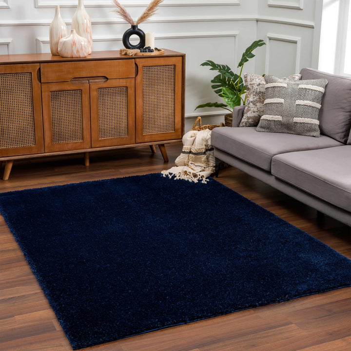 Modern Solid Blue Plush Pile Moroccan Area Rug - The Rug Decor