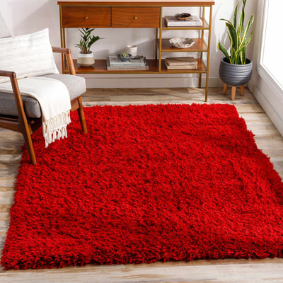 Modern Solid Maroon Moroccan Style Plush Pile Area Rug - The Rug Decor