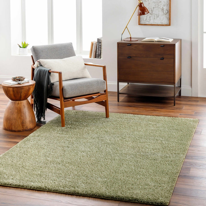 Modern Solid plush High pile Light olive green area rug - The Rug Decor