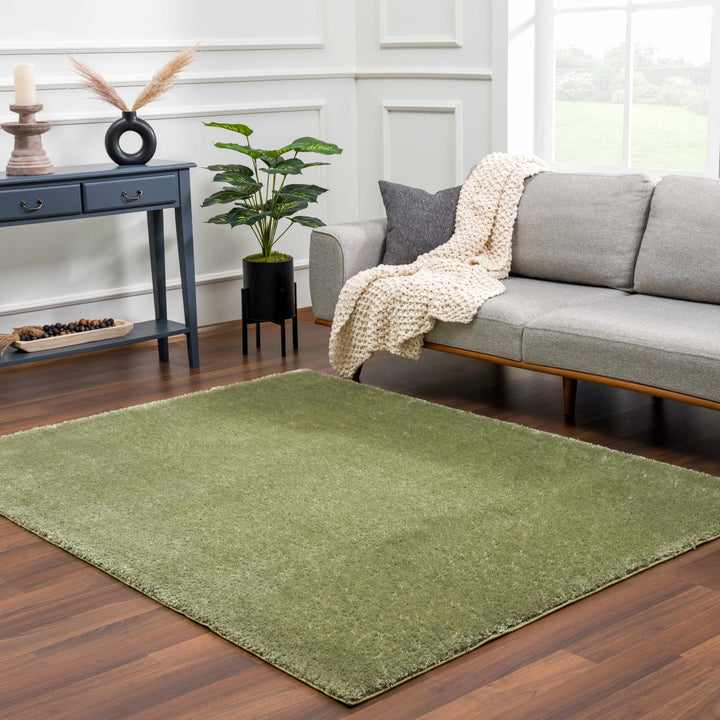 Modern Solid plush High pile Light olive green area rug - The Rug Decor