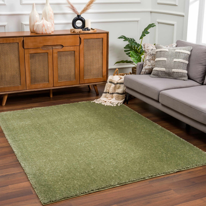 Modern Solid plush High pile Light olive green area rug - The Rug Decor