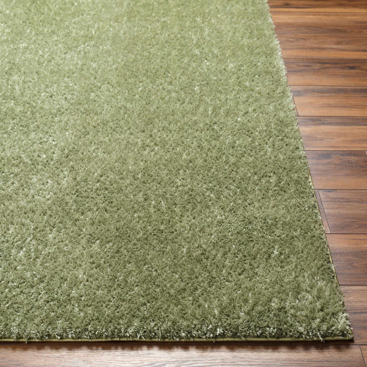 Modern Solid plush High pile Light olive green area rug - The Rug Decor
