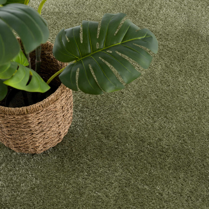 Modern Solid plush High pile Light olive green area rug - The Rug Decor
