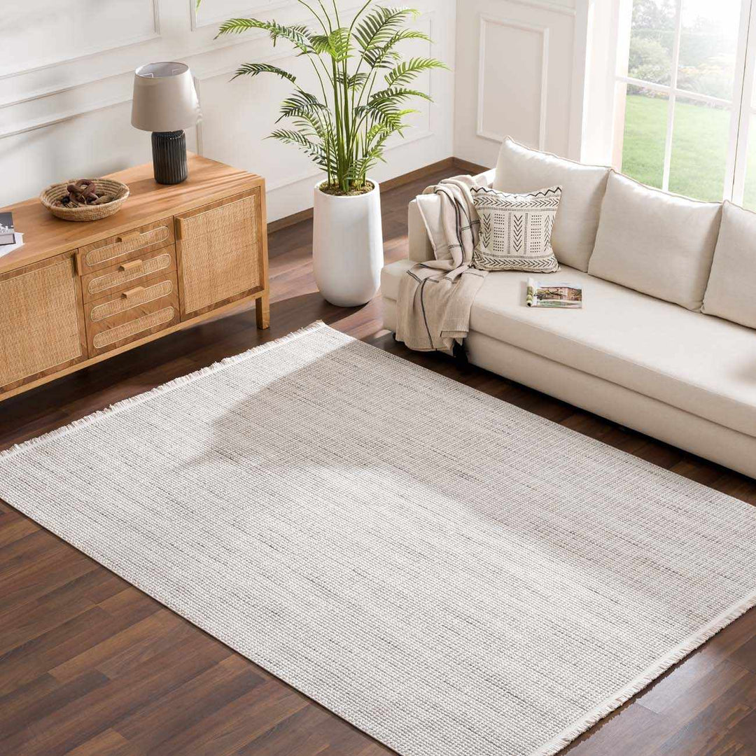 Modern Style Flatwoven Cream Area Rug - The Rug Decor