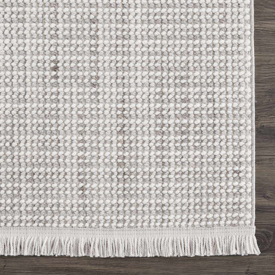 Modern Style Flatwoven Cream Area Rug - The Rug Decor
