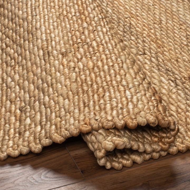 Modern Style Tan And Brown Hand Woven Jute Rug - The Rug Decor