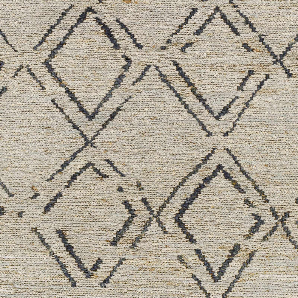 Monkstown Contemporary Beige And Gray Jute Carpet - The Rug Decor