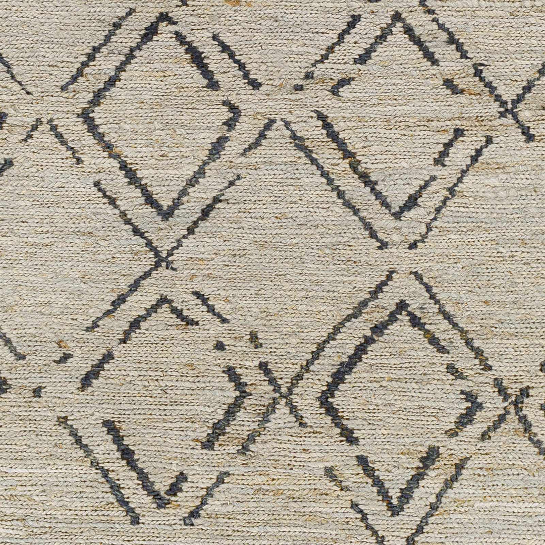 Monkstown Contemporary Beige And Gray Jute Carpet - The Rug Decor