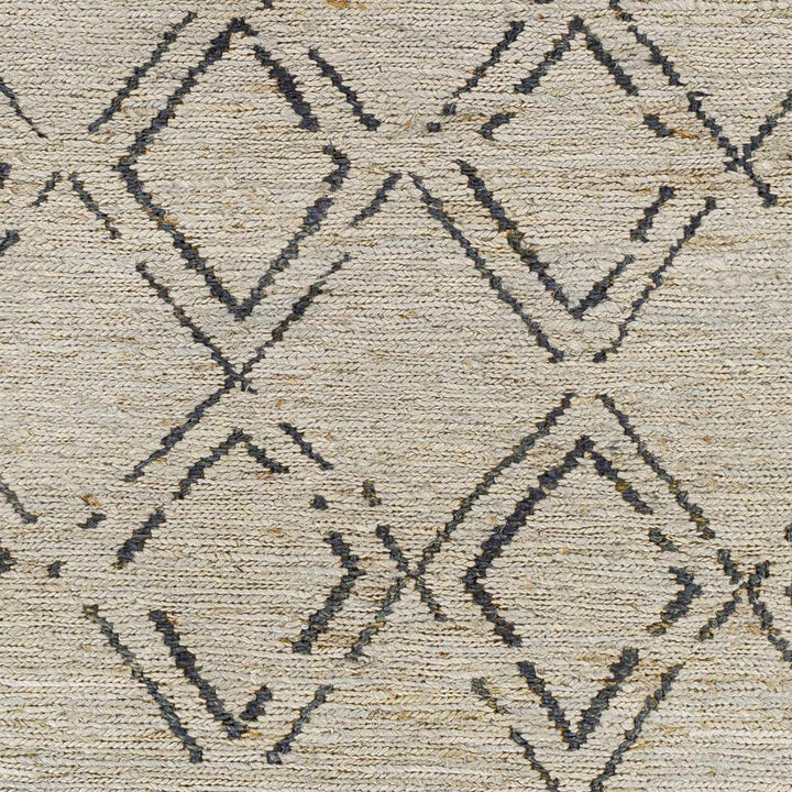 Monkstown Contemporary Beige And Gray Jute Carpet - The Rug Decor