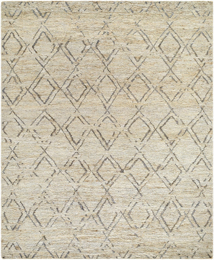 Monkstown Contemporary Beige And Gray Jute Carpet - The Rug Decor