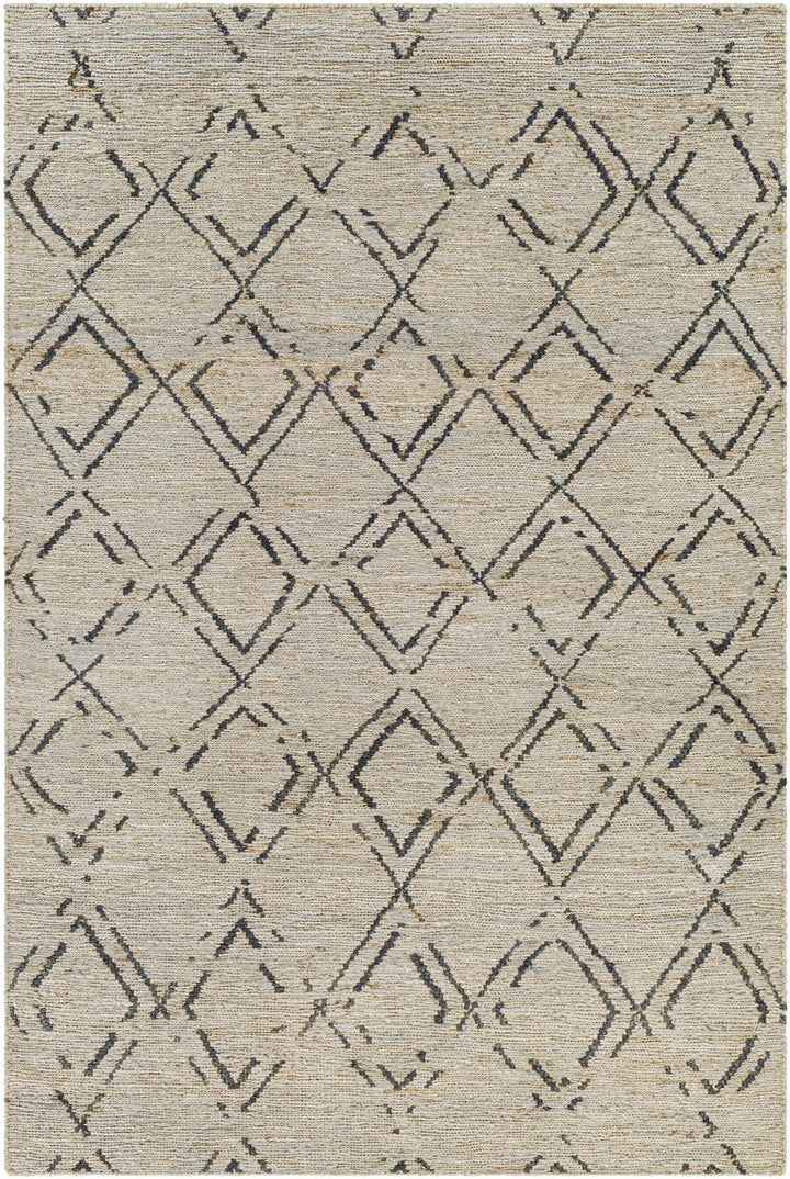 Monkstown Contemporary Beige And Gray Jute Carpet - The Rug Decor