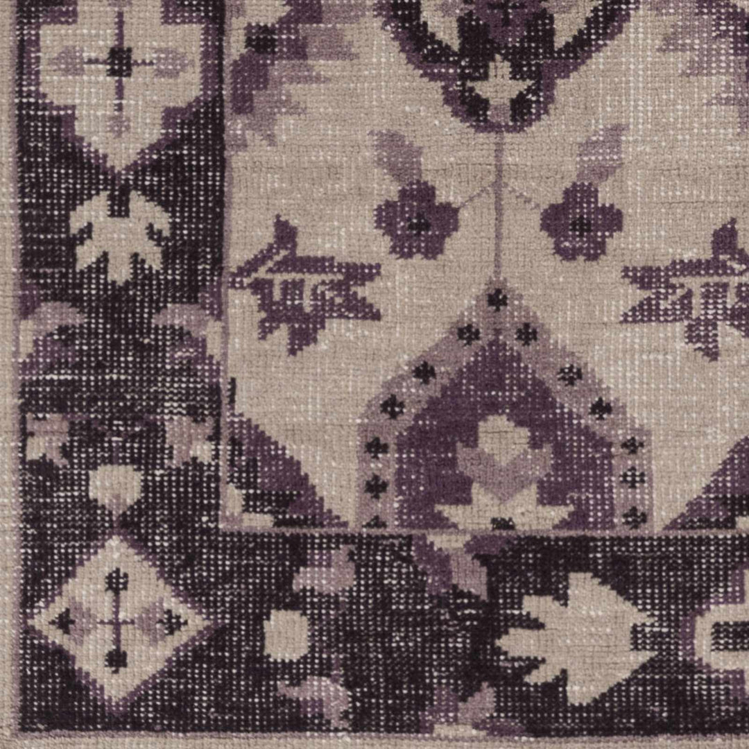 Monon Traditional Purple And Beige Area Rug - The Rug Decor