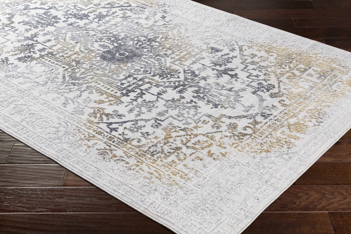Morriston Traditional Style Ivory And Charcoal Area Rug